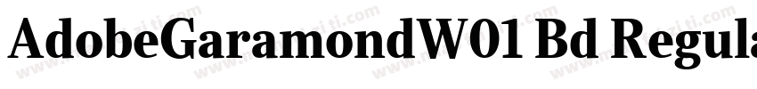 AdobeGaramondW01 Bd Regular字体转换